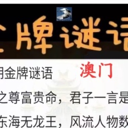 新奧门【 135 】期
